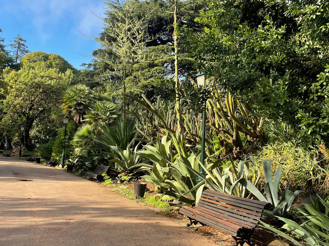 Jardim Da Estrela Park-里斯本必去景点