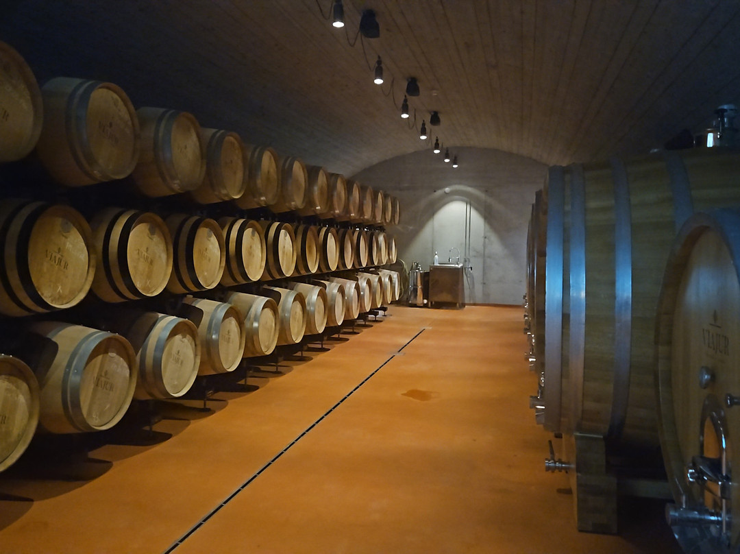 VIAJUR Winery-Svaty Jur必去景点