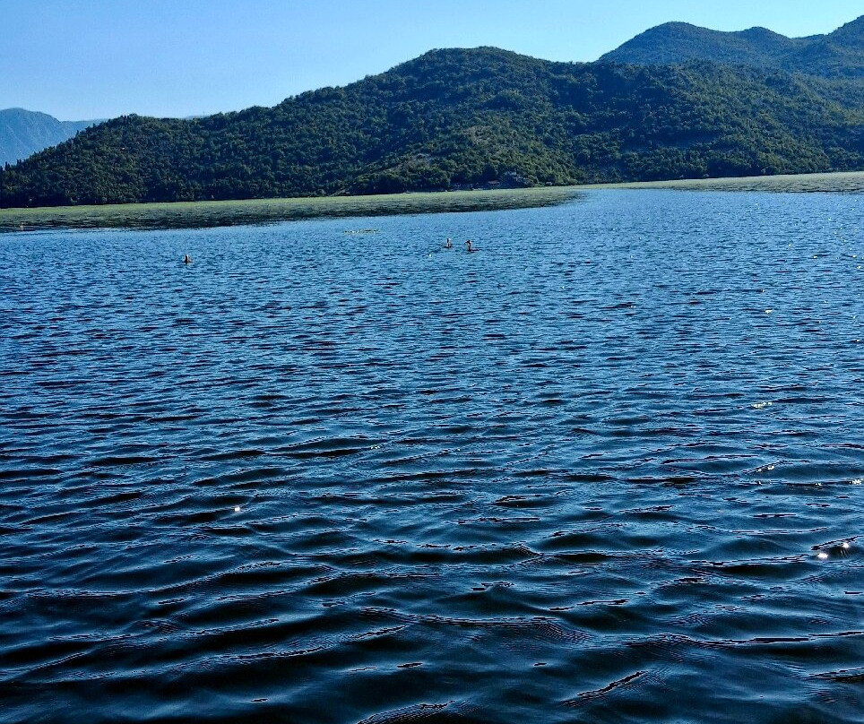 Lake Skadar-黑山共和国必去景点