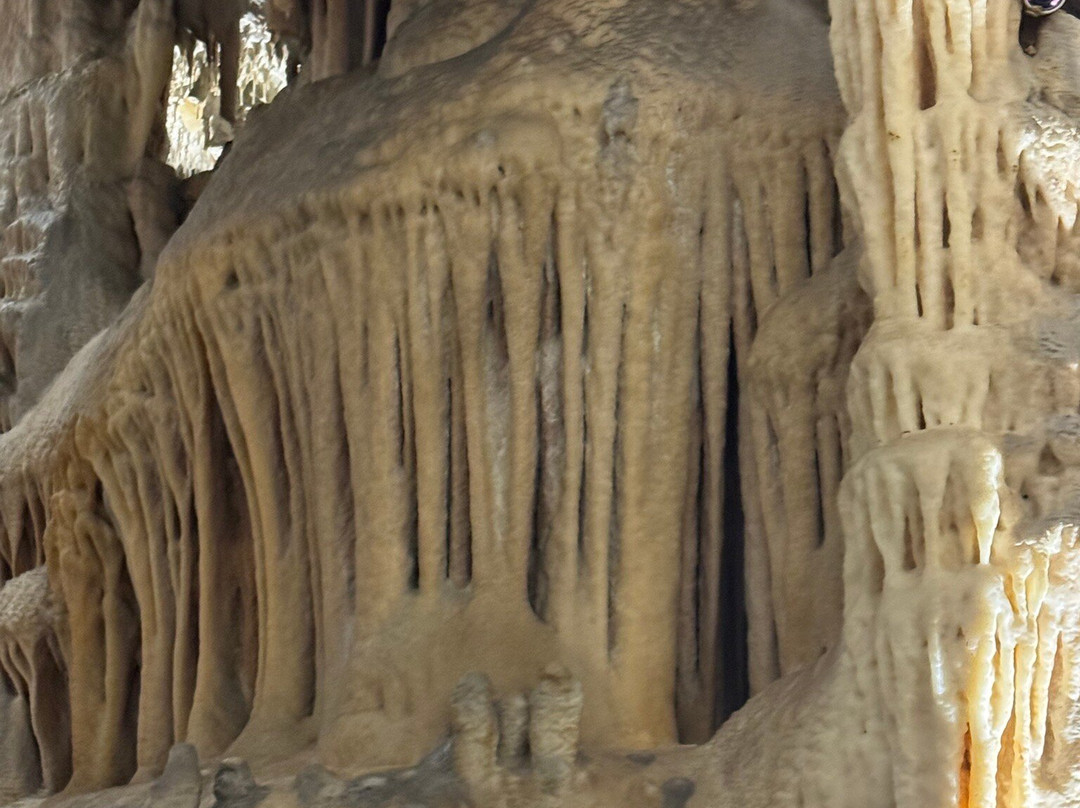 Postojna Cave-波斯托伊纳必去景点