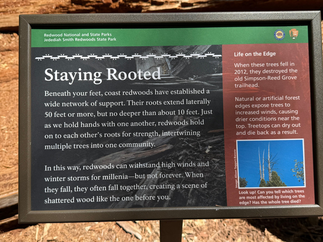 Simpson-Reed Trail-克雷森特城必去景点