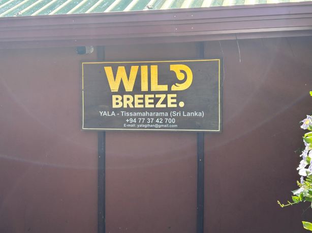Wild Breeze-旅行者