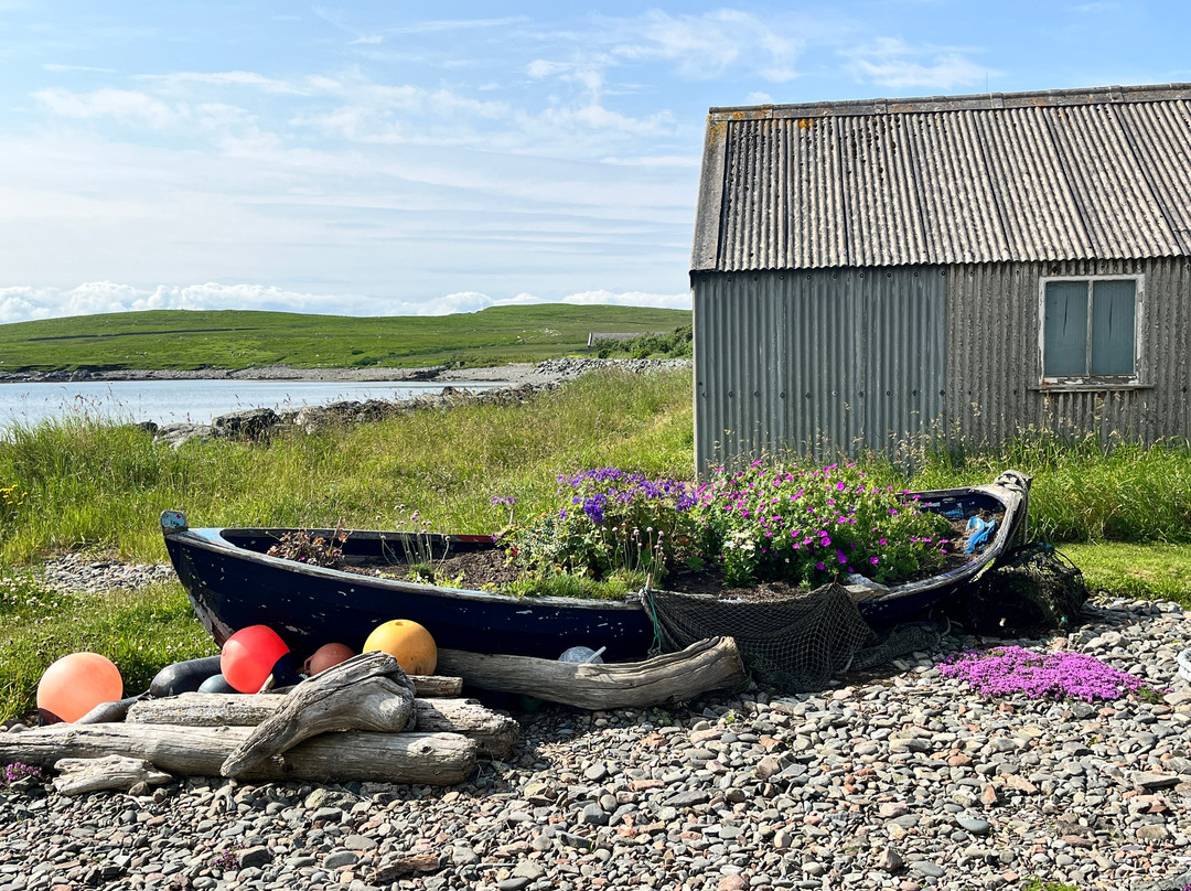 Shetland Footprints Guided Tours