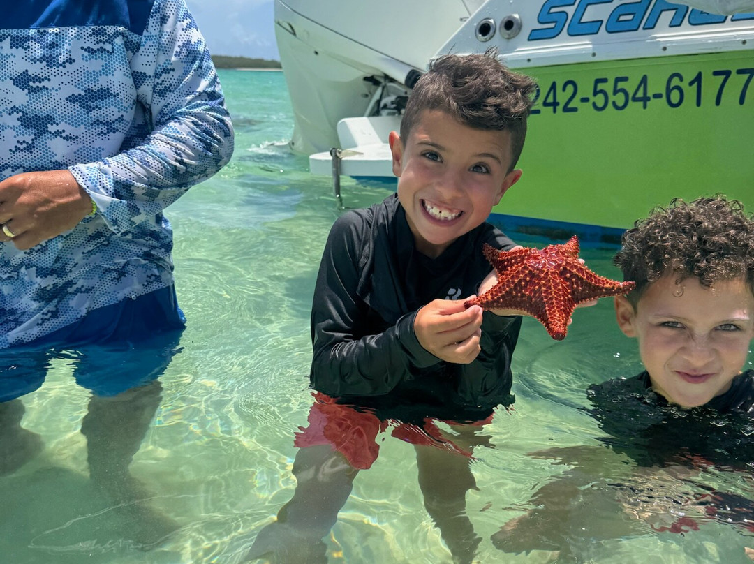 Spanish Wells SeaVentures Excursions | Harbour Island, Eleuthera, Bahamas Guide-Spanish Wells必去景点