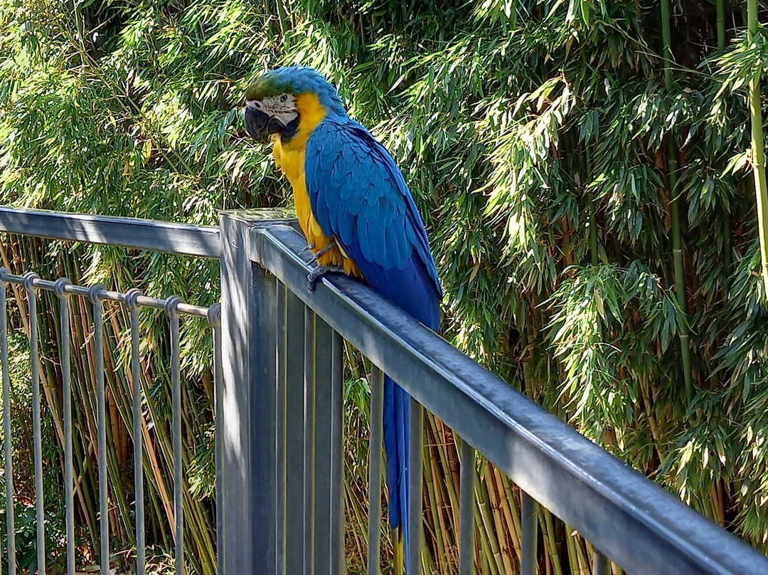 Parc Des Oiseaux-Villars-les-Dombes必去景点