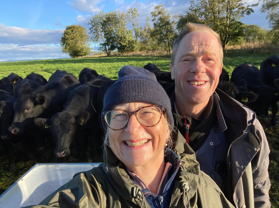 Bairnkine Farm Tours-Jedburgh必去景点