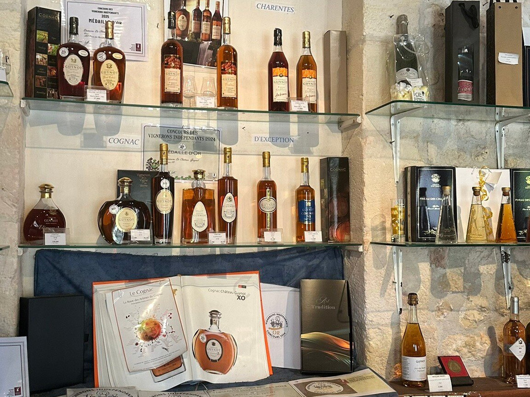 Domaine de Château Guynot-Tesson必去景点