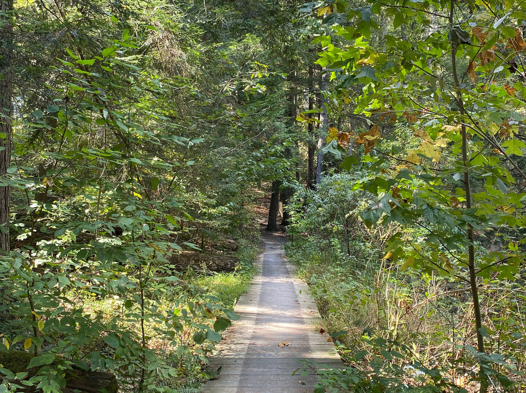 Conkles Hollow State Nature Preserve-Rockbridge必去景点