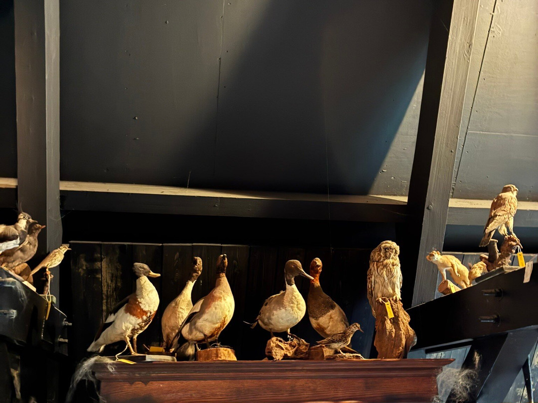 Natuurmuseum Fryslan-吕伐登必去景点