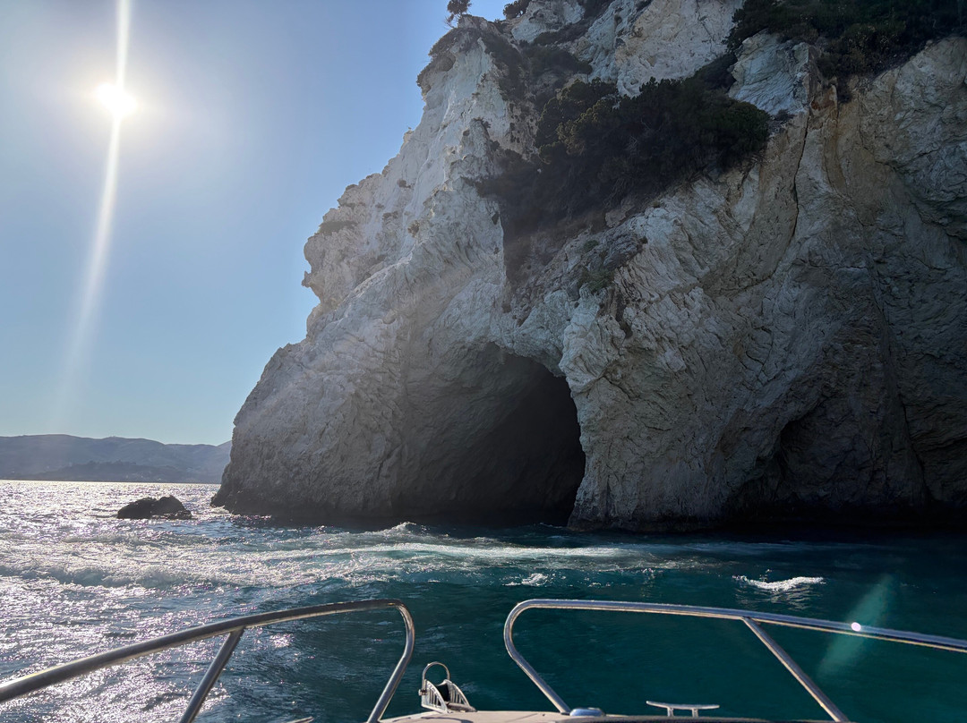 Dolphin Boat Rentals-利姆尼科利必去景点