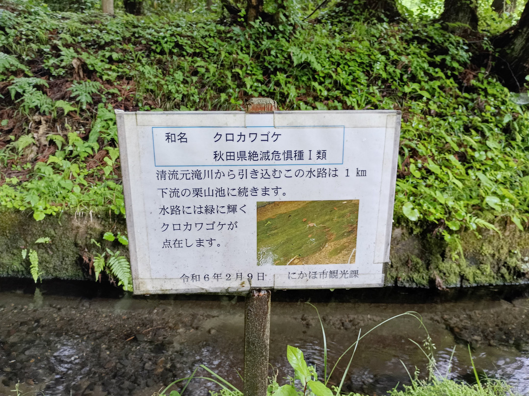 Mototakifukuryusui-仁贺保市必去景点