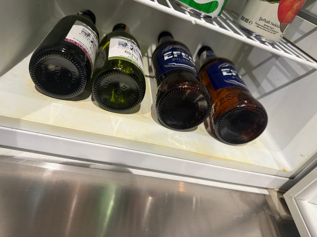 温德姆华美达广场酒店-萨姆松主图