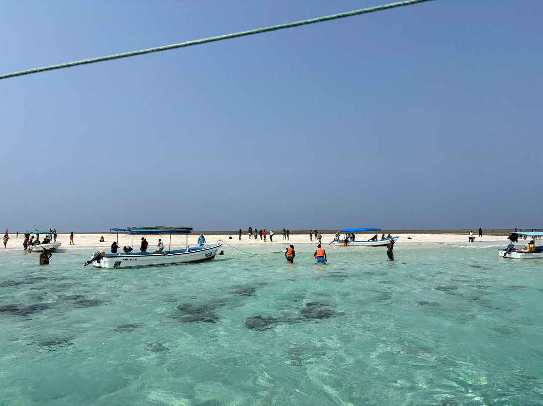 Southern Shores Safaris-Shimoni必去景点