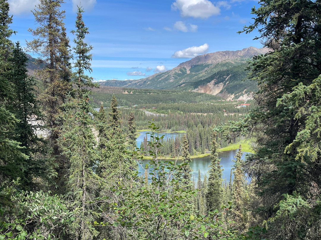 Horseshoe Lake Trail-德纳利国家公园和自然保护区必去景点