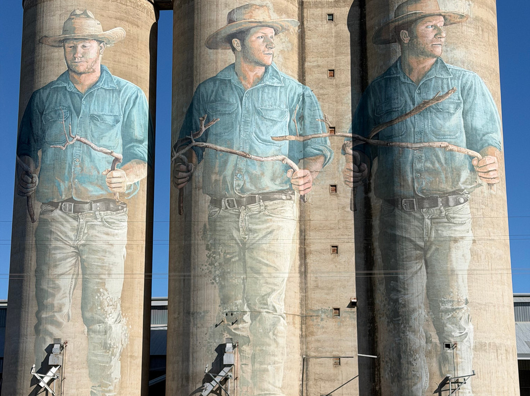 Barraba Silo Art-Barraba必去景点