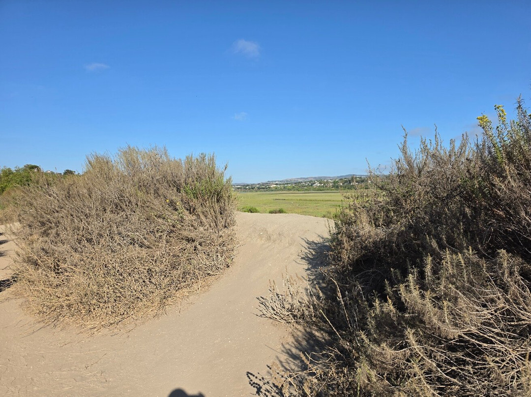 Upper Newport Bay Nature Preserve-纽波特海滩必去景点