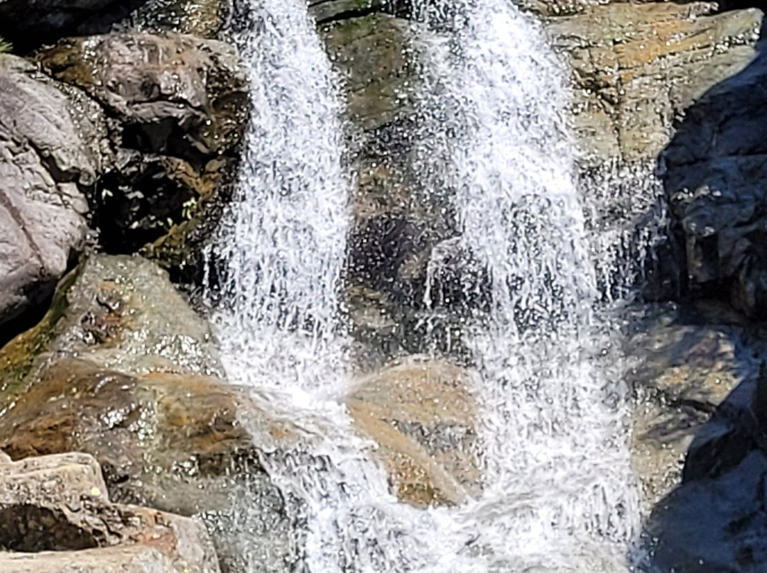Cascades des Anglais-Vivario必去景点