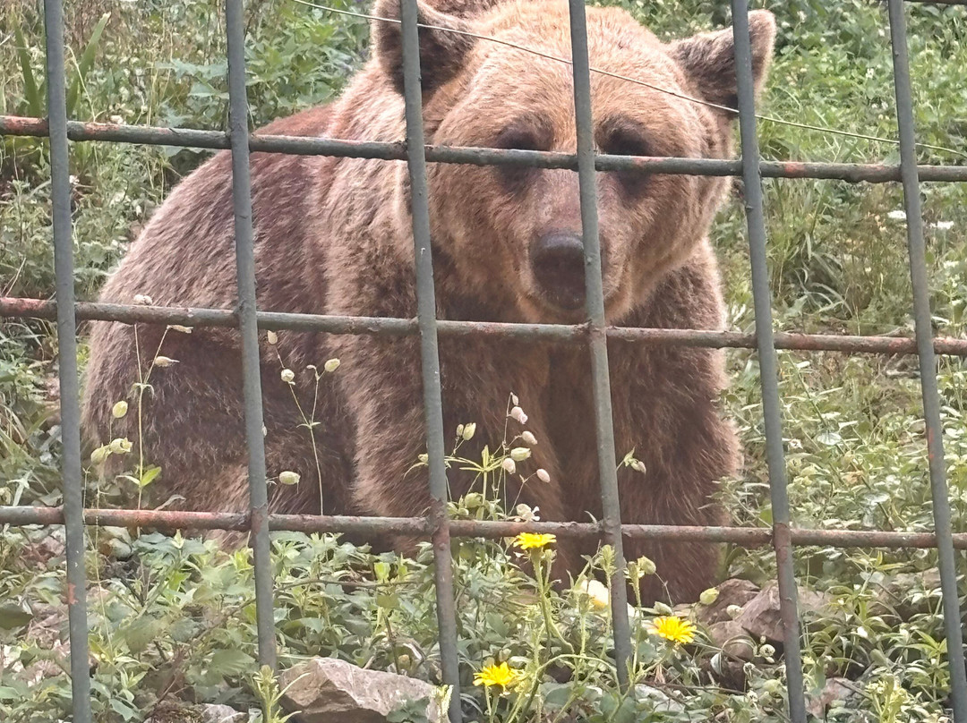 Senda Del Oso Experience - Teverastur-Teverga Municipality必去景点