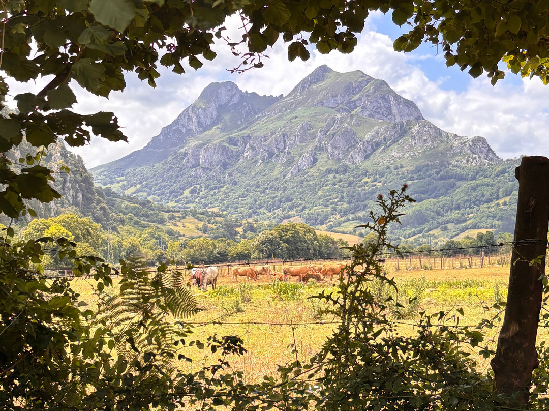 Senda Del Oso Experience - Teverastur-Teverga Municipality必去景点