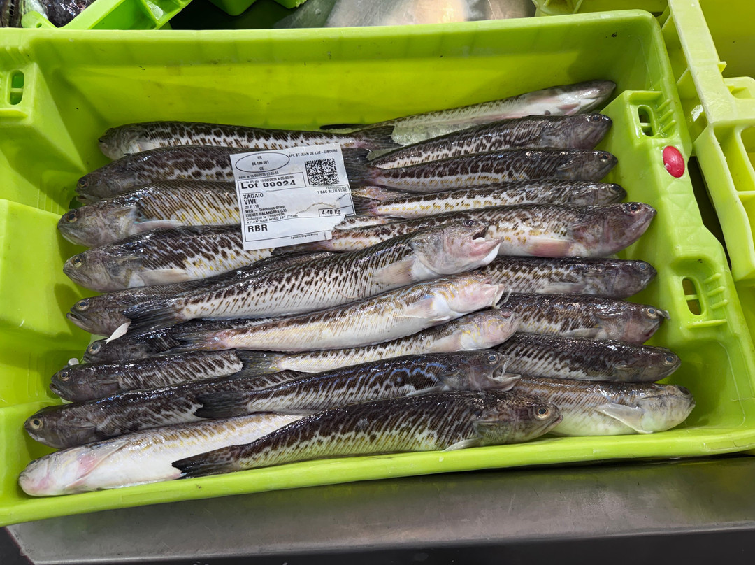 Mercado Les Halles-比亚里茨必去景点