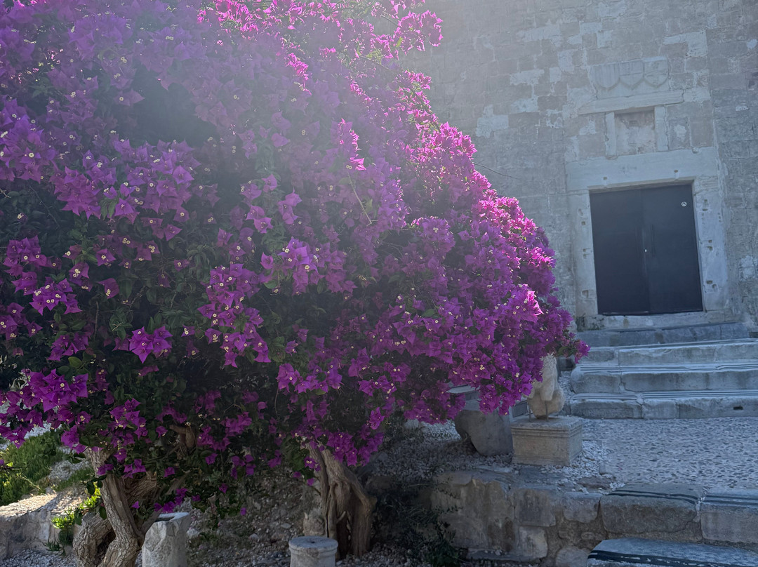 Bodrum Castle-博德鲁姆必去景点