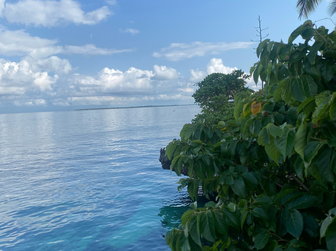 Suley Taxi Driver Zanzibar and Tours-孥归必去景点