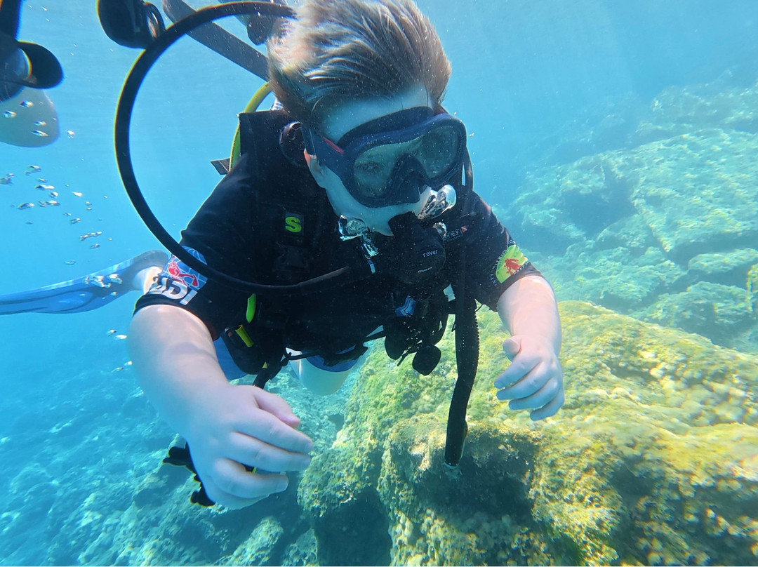 DP Diving-Alsancak - Karavas必去景点