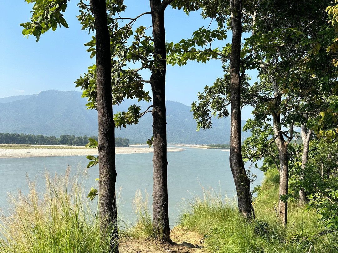 Adventure Safari & Trek-Thakurdwara必去景点
