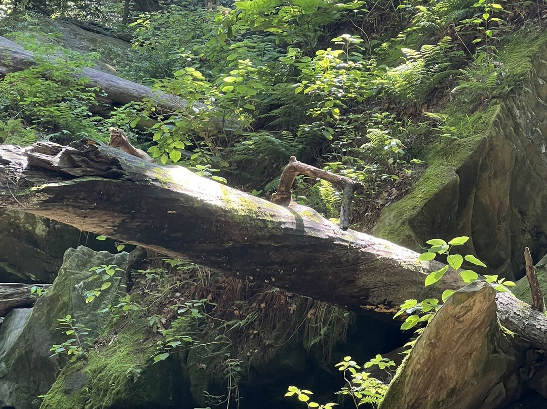 Turkey Run State Park-Marshall必去景点