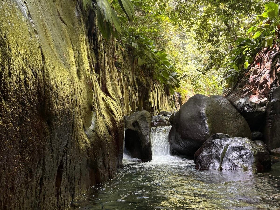 Canyon Moustique-Petit-Bourg必去景点