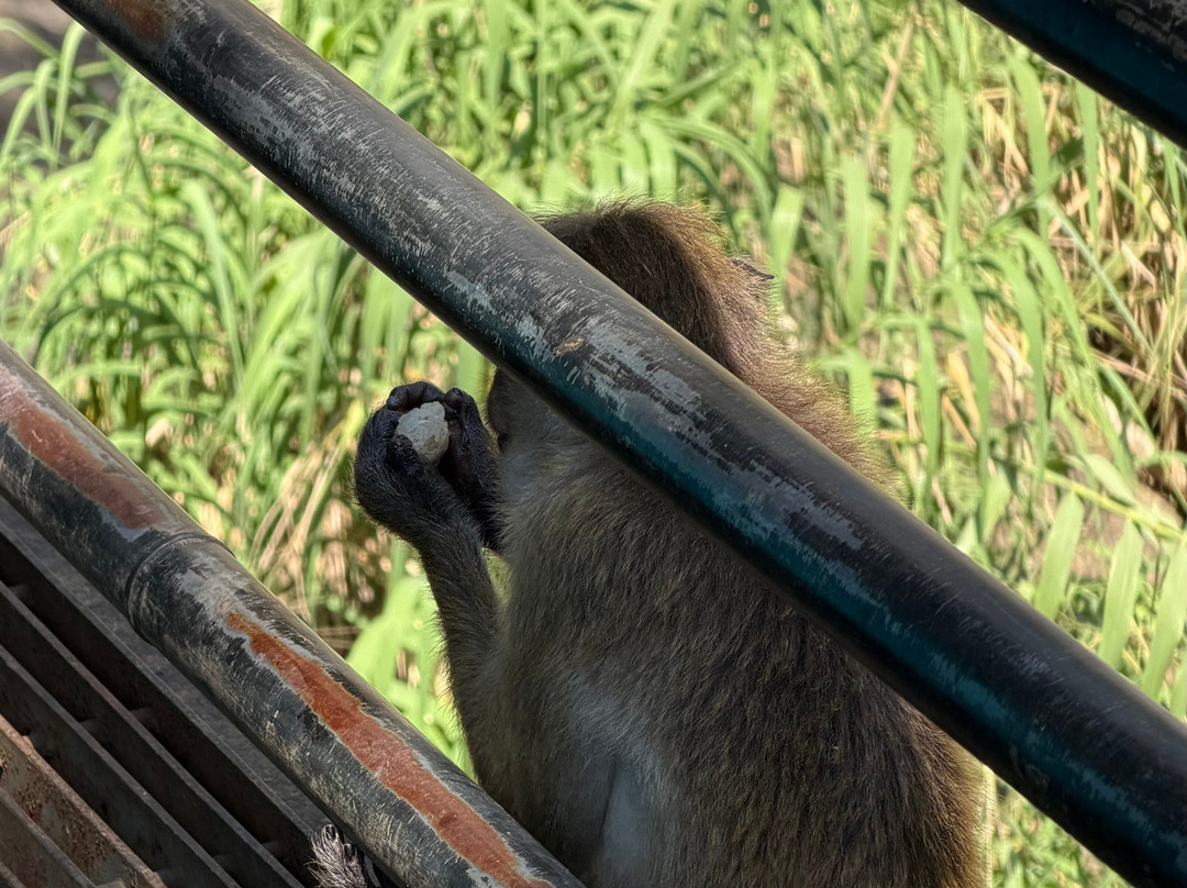 Compass Lanka Tours-Yakkala必去景点