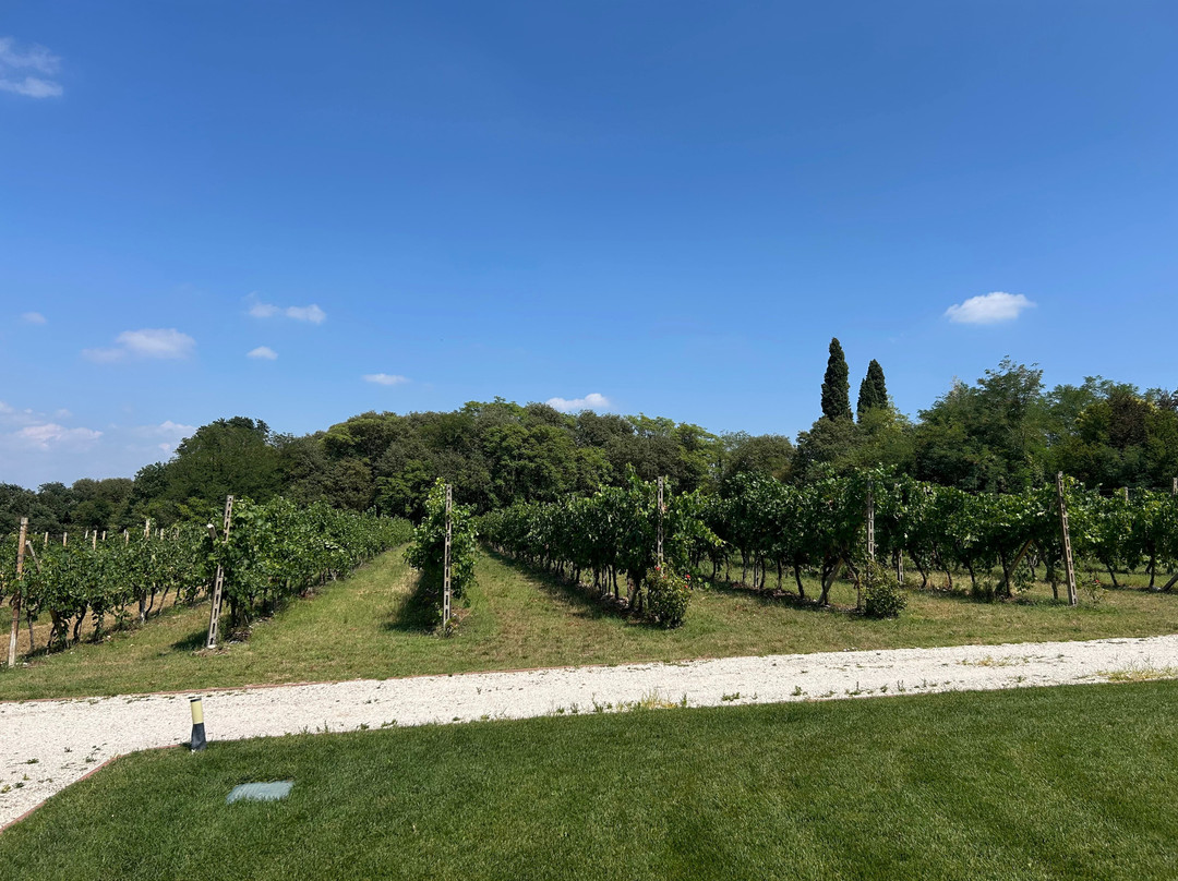 Agriturismo Corte Zenati主图