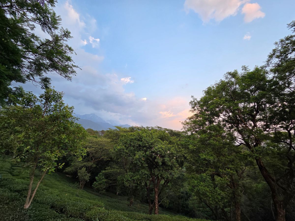 布里杰阿纳拉达拉姆沙拉酒店-旅行者