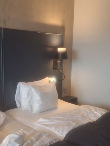 斯特劳贝里竞技场品质酒店-旅行者