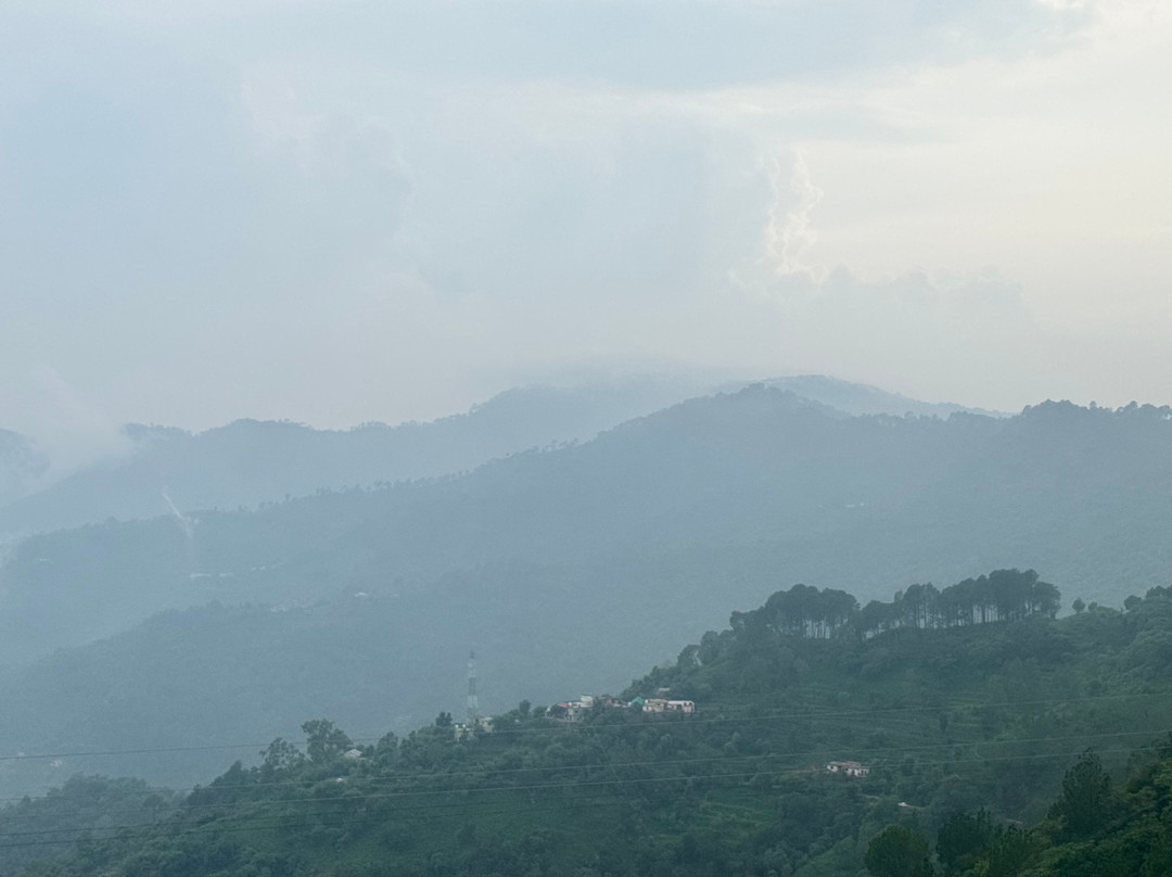 财富精选森林山，卡萨利 - ITC酒店集团成员主图