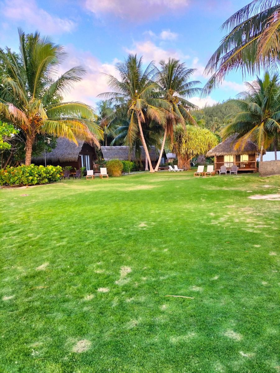 Moana Lodge-旅行者