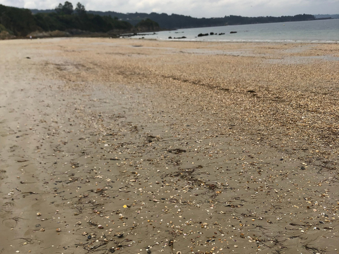 Playa de Seselle-Ares必去景点