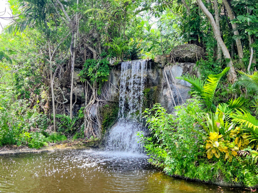 Garden of the Groves-弗里波特必去景点