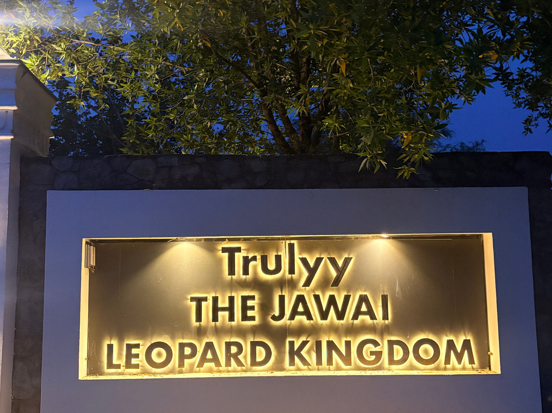 Trulyy the Jawai Leopard Kingdom A Luxury Resort主图