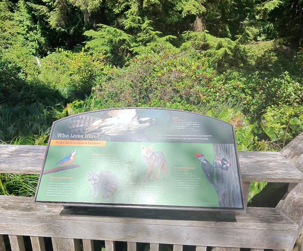 Rockaway Big Tree Trailhead-Rockaway Beach必去景点