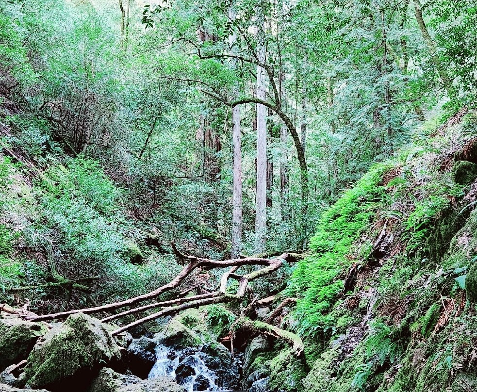 Cataract Falls-Fairfax必去景点