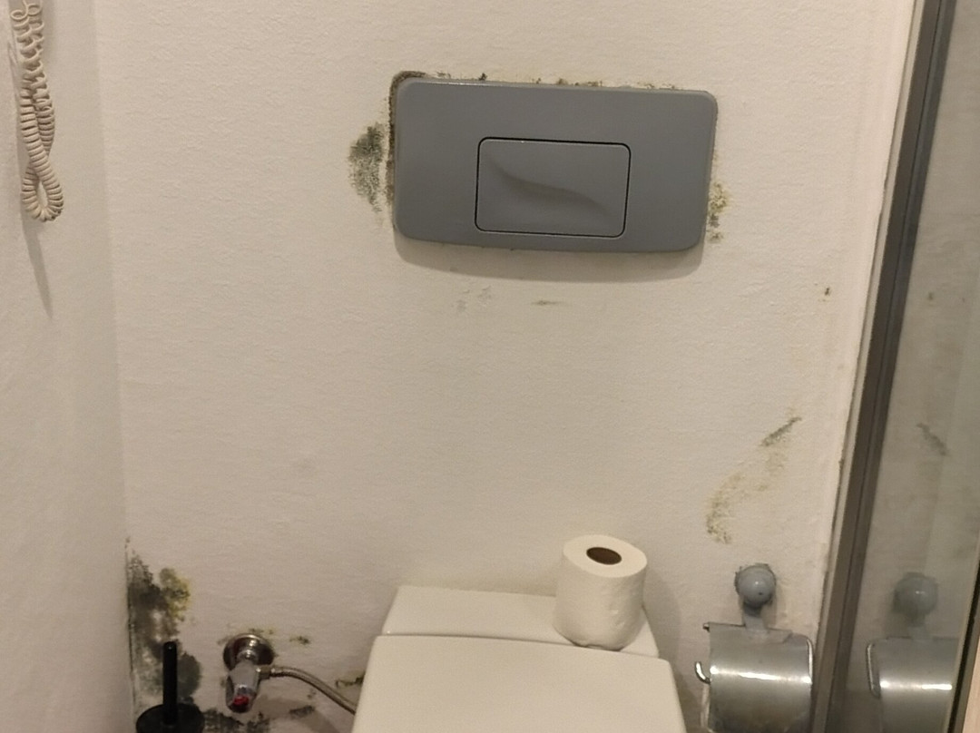 X Life Hotel Sarıgerme 15 - Adult Hotel主图