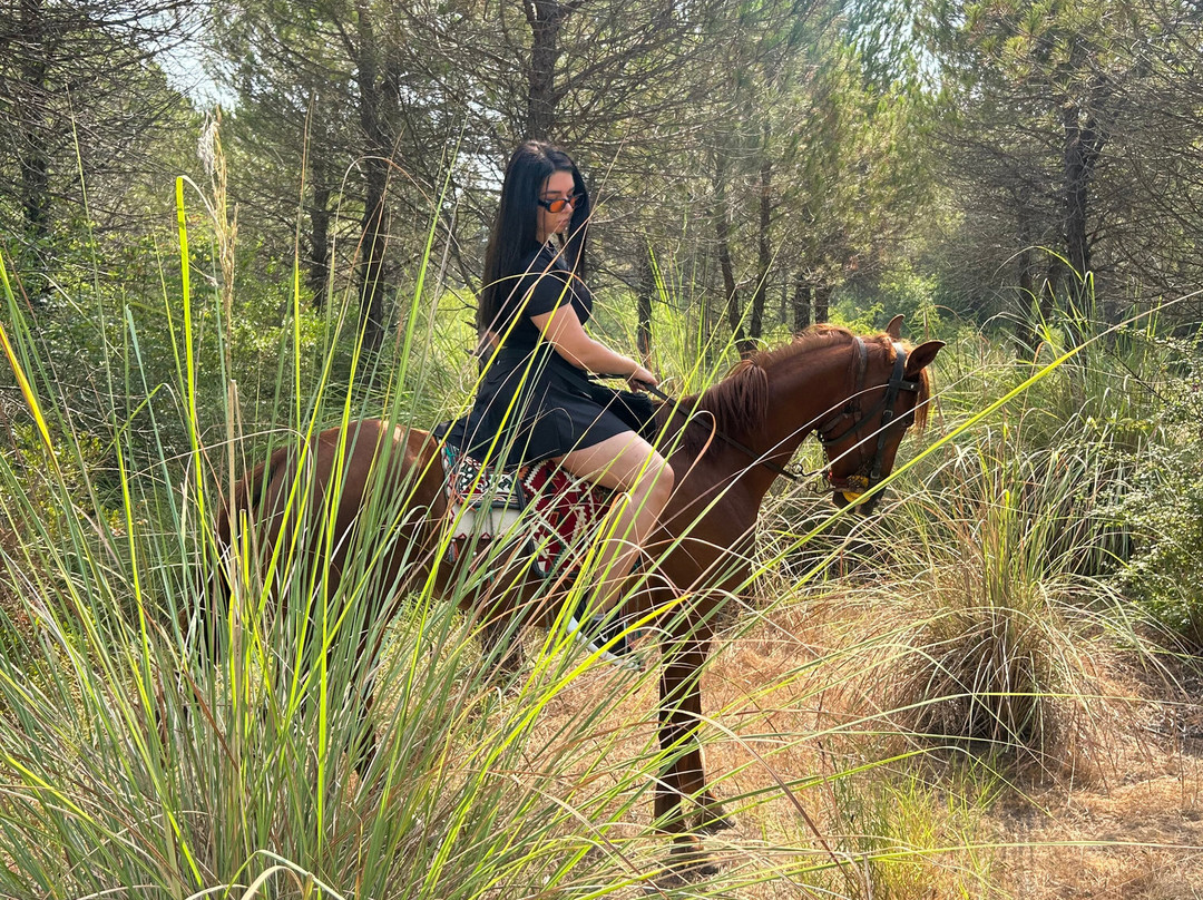 Belek Safari | Horse Riding Tour-Kumkoy必去景点