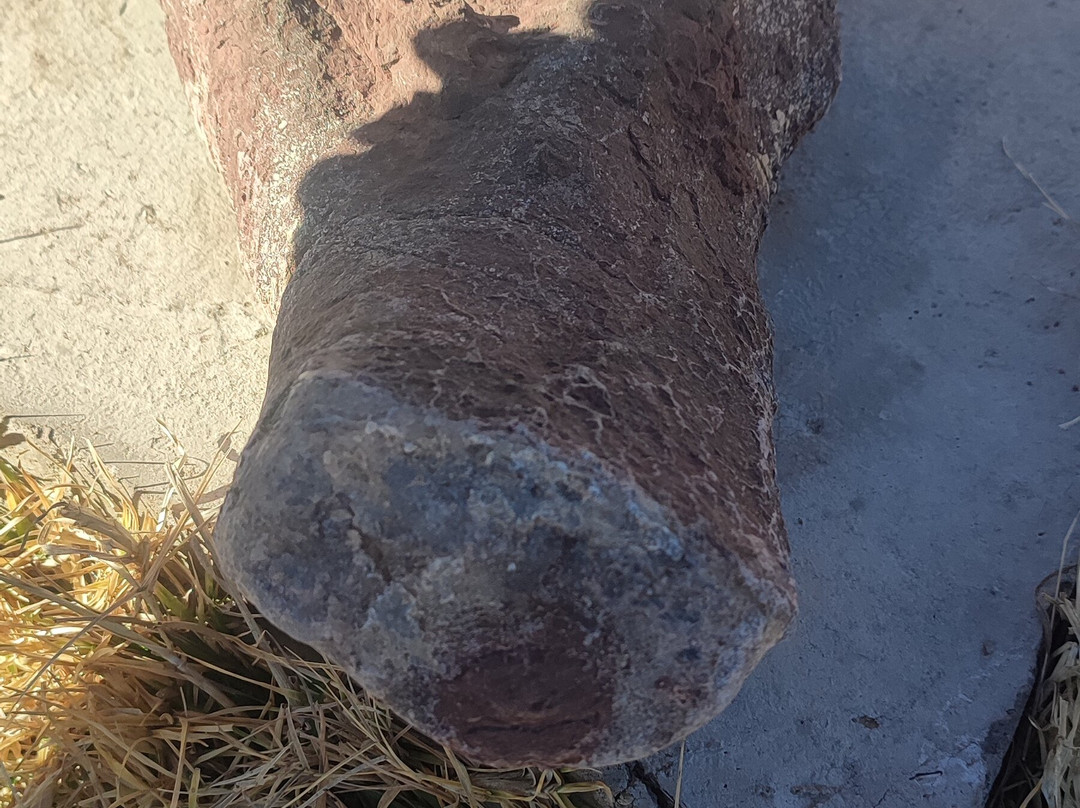 Subeng Dinosaur Foot Prints-Leribe District必去景点
