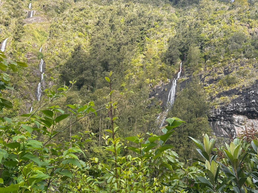 Cascade du Voile de la Mariée-Salazie必去景点