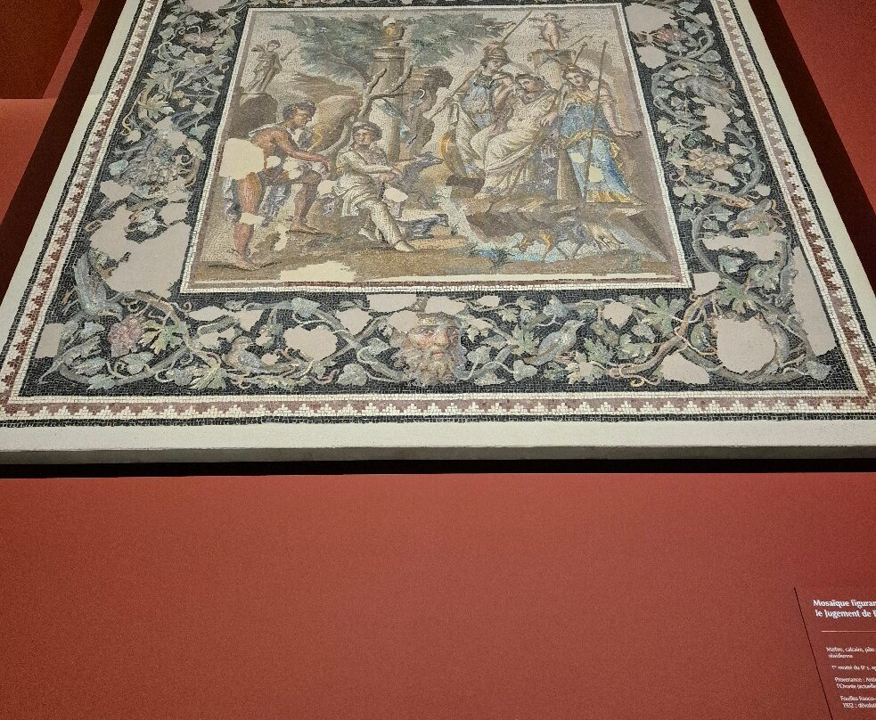 Musée de la Romanité-尼姆必去景点
