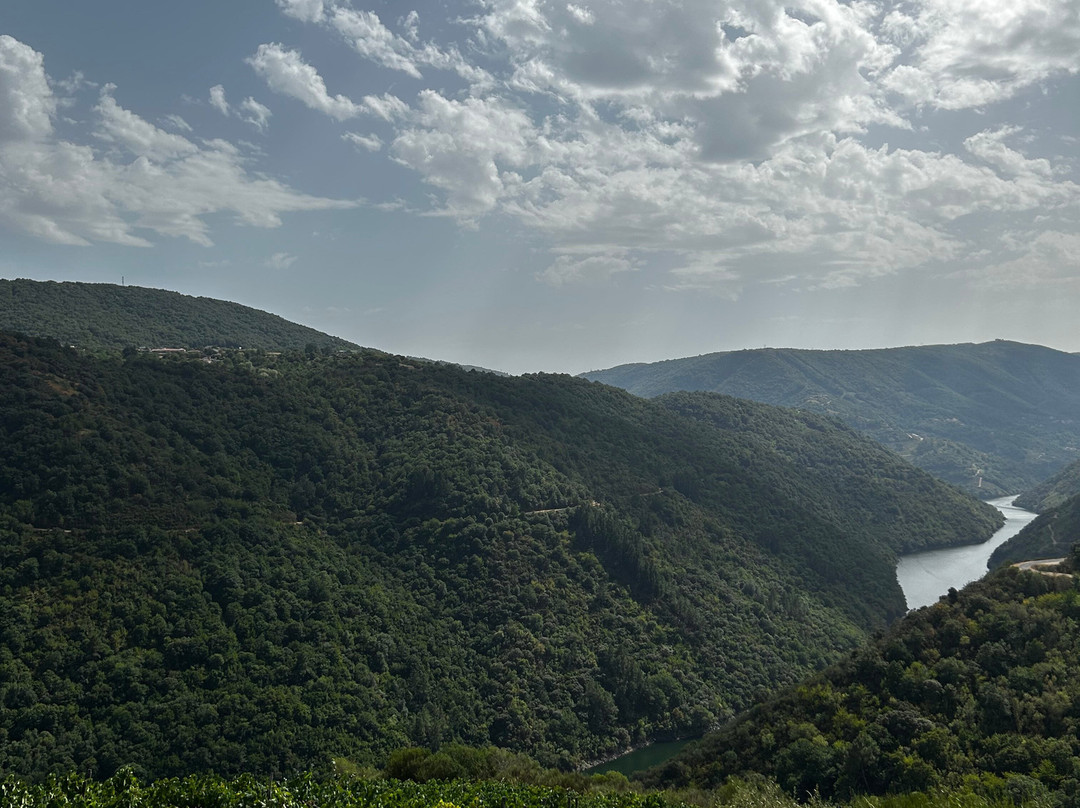 Cañón Del Sil - Ribeira Sacra-奥伦塞省必去景点