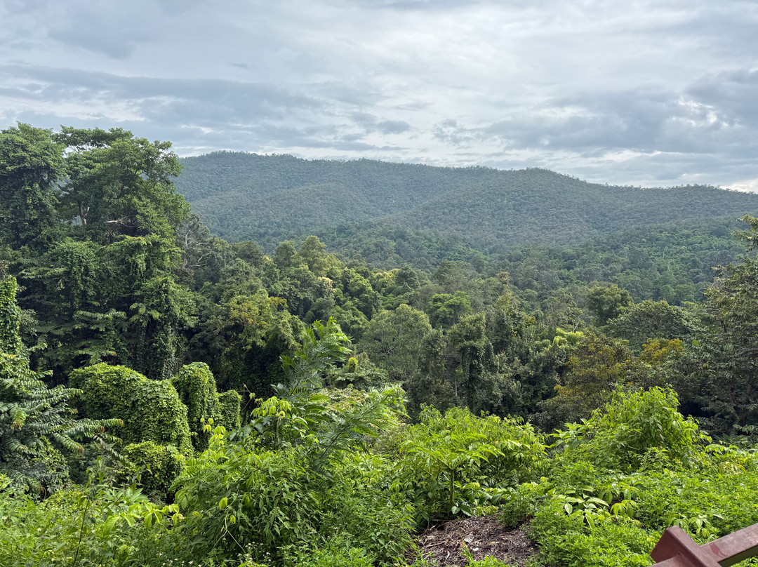 Mr.Pingpong Eco Trekking Tour-清迈必去景点