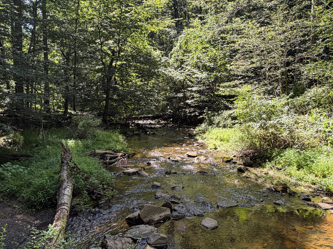 Hacklebarney State Park-Long Valley必去景点