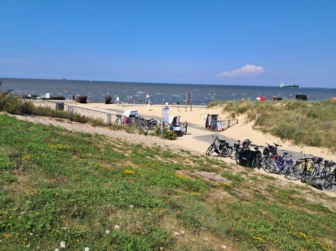 Cuxhavener Kuestenheide-库克斯港县必去景点